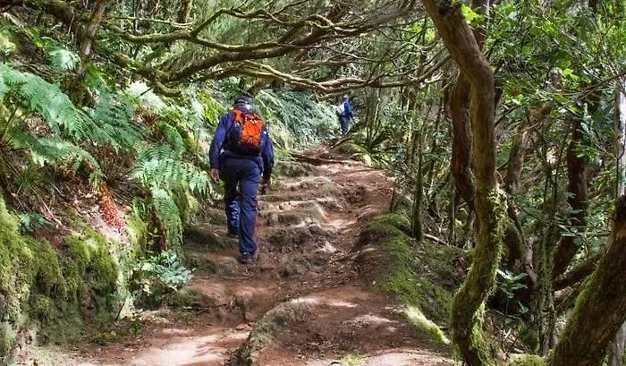 Casa Clarita I Anaga Rural Park 別荘 サン・クリストバル・デ・ラ・ラグーナ
